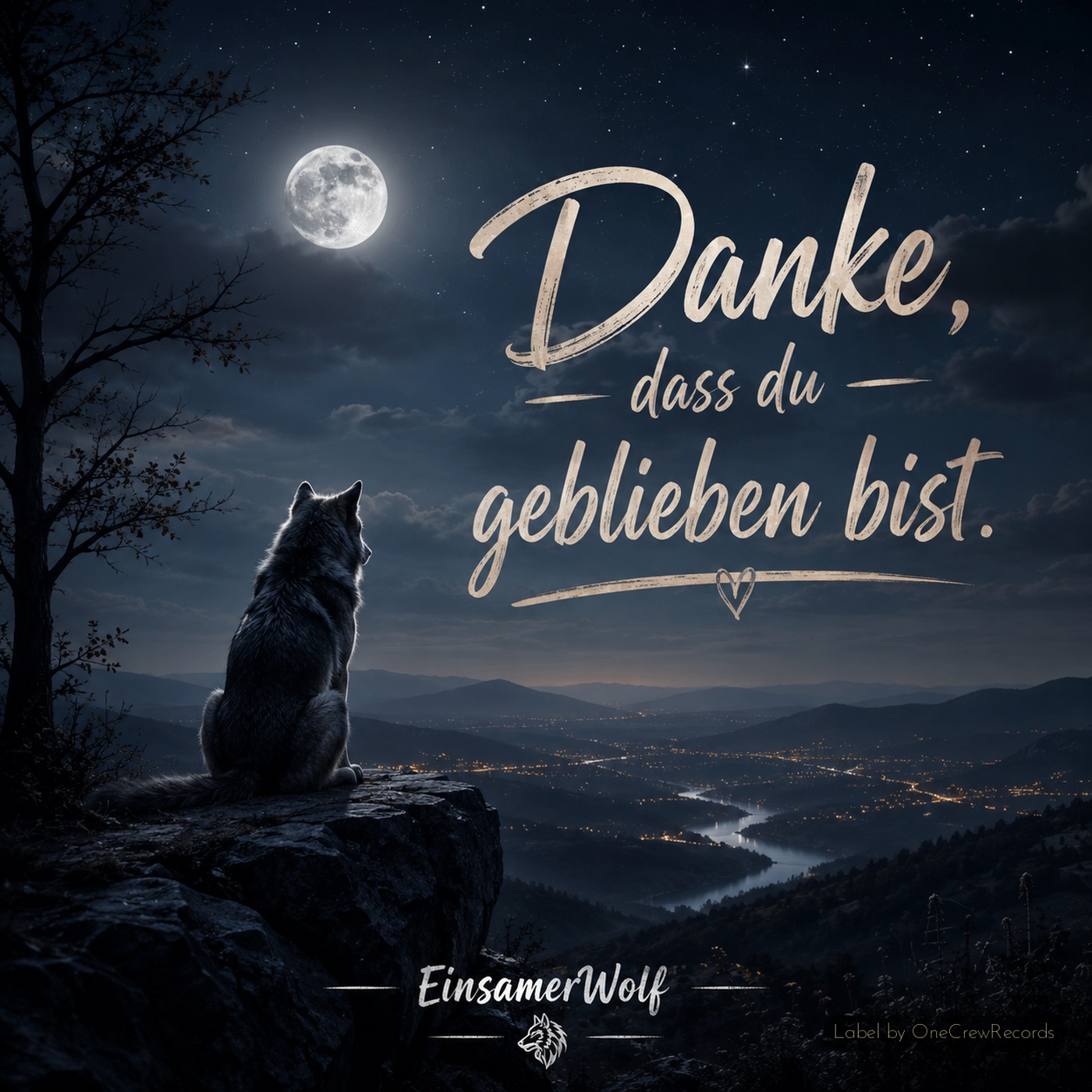 Cover Danke, dass du geblieben bist