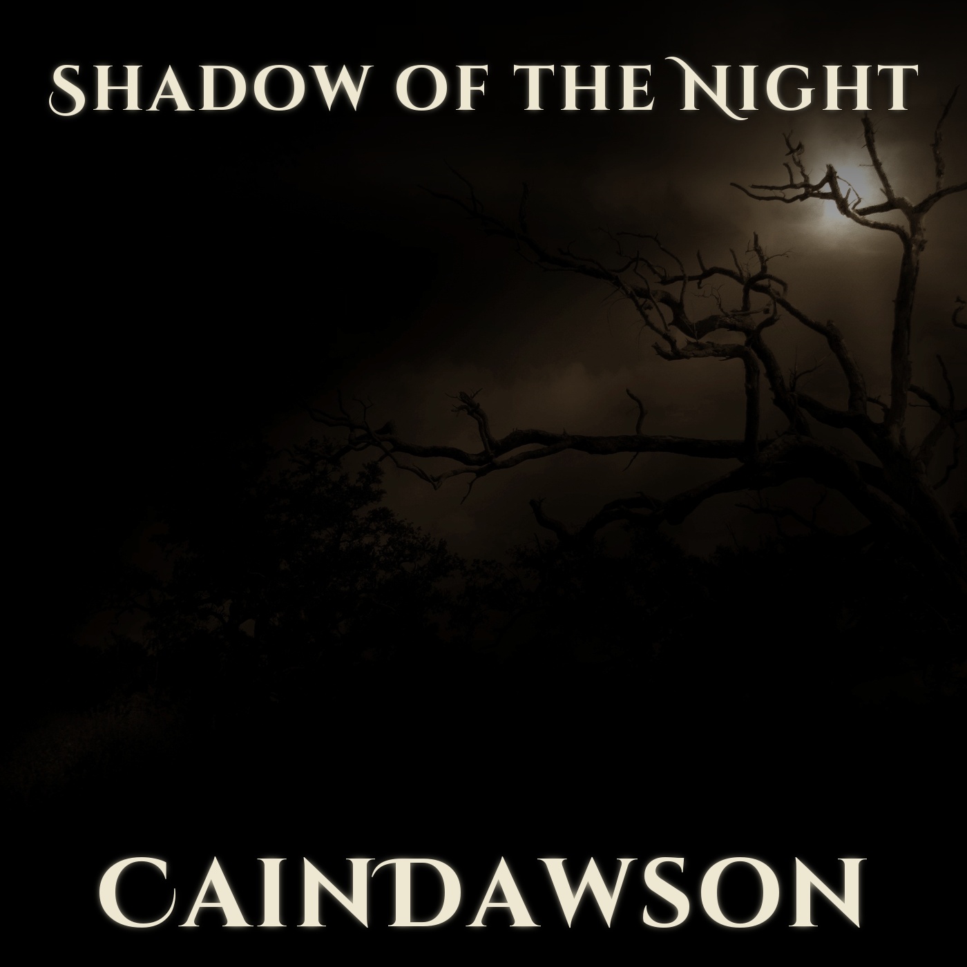 Cover Shadow of the Night